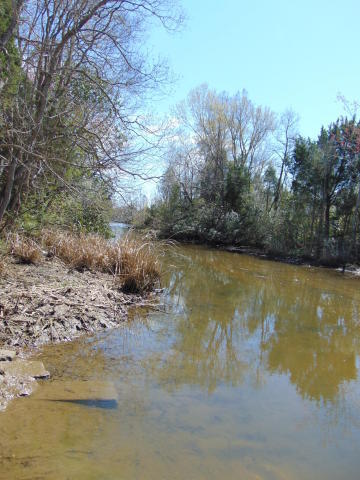 1521 State Rd S-8-700 Moncks Corner, SC 29461 - Photo 6 of 6 cedar island boat landing