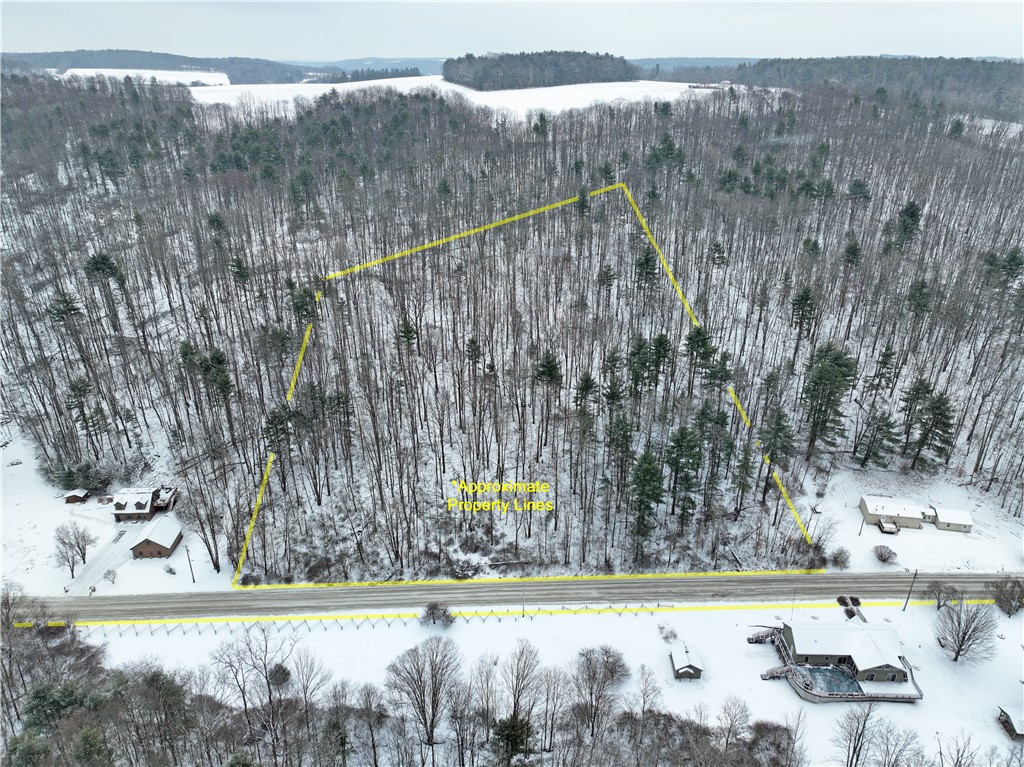 1749 Brown Hollow Road Caton, NY 14830 - Photo 8 of 41 5 acres directly across the road