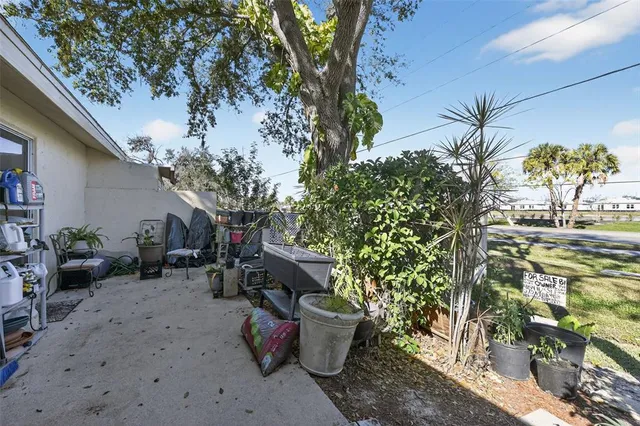 a view of a backyard with plants and a potted plant