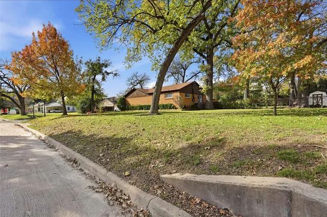 a view of park with tree