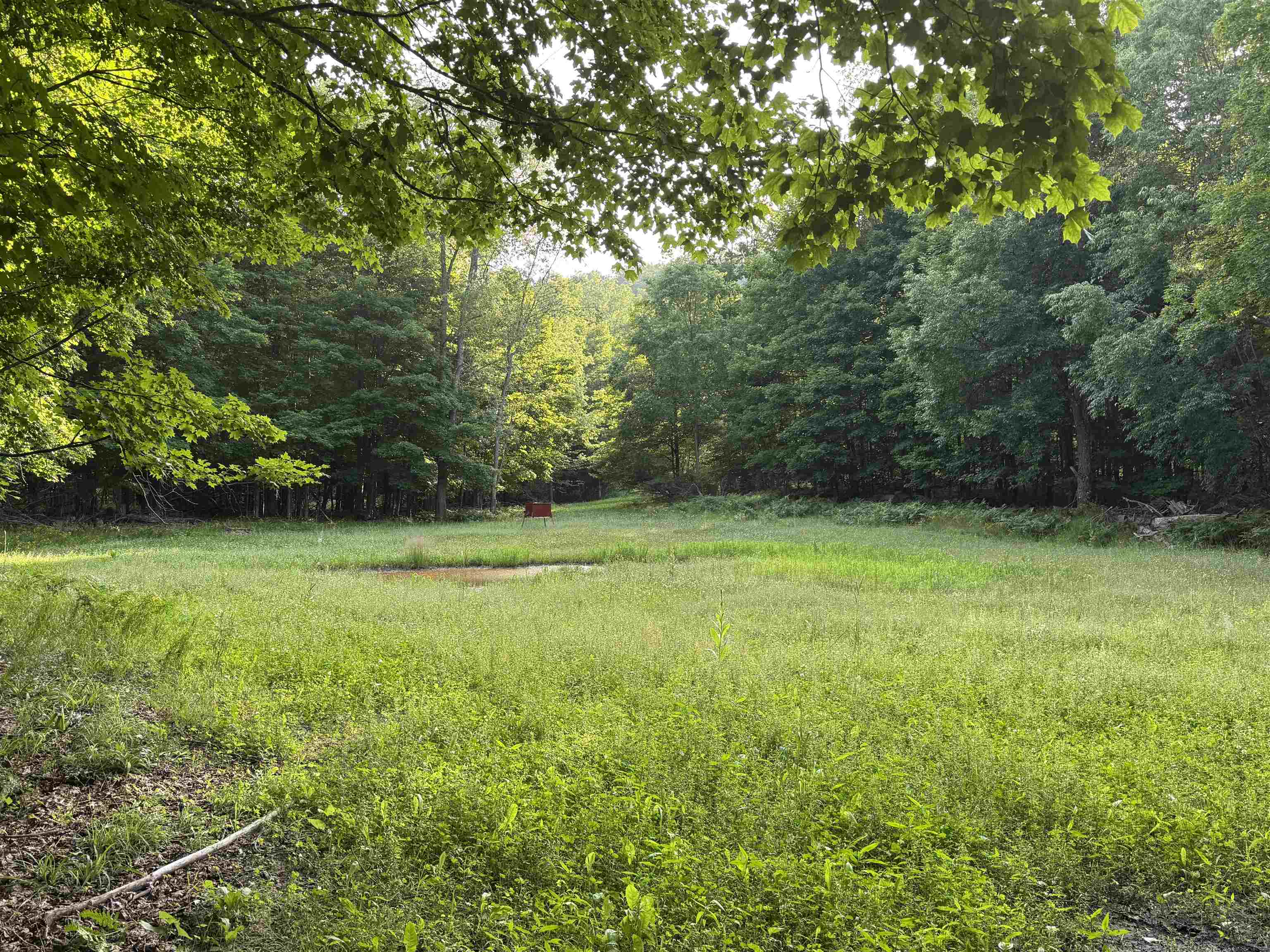 0 West Beeman Road, Unit WELLS CREEK RANCH Empire, MI 49630 - Photo 4 of 17