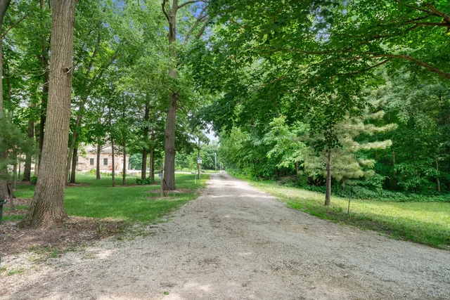 a view of a park with large trees