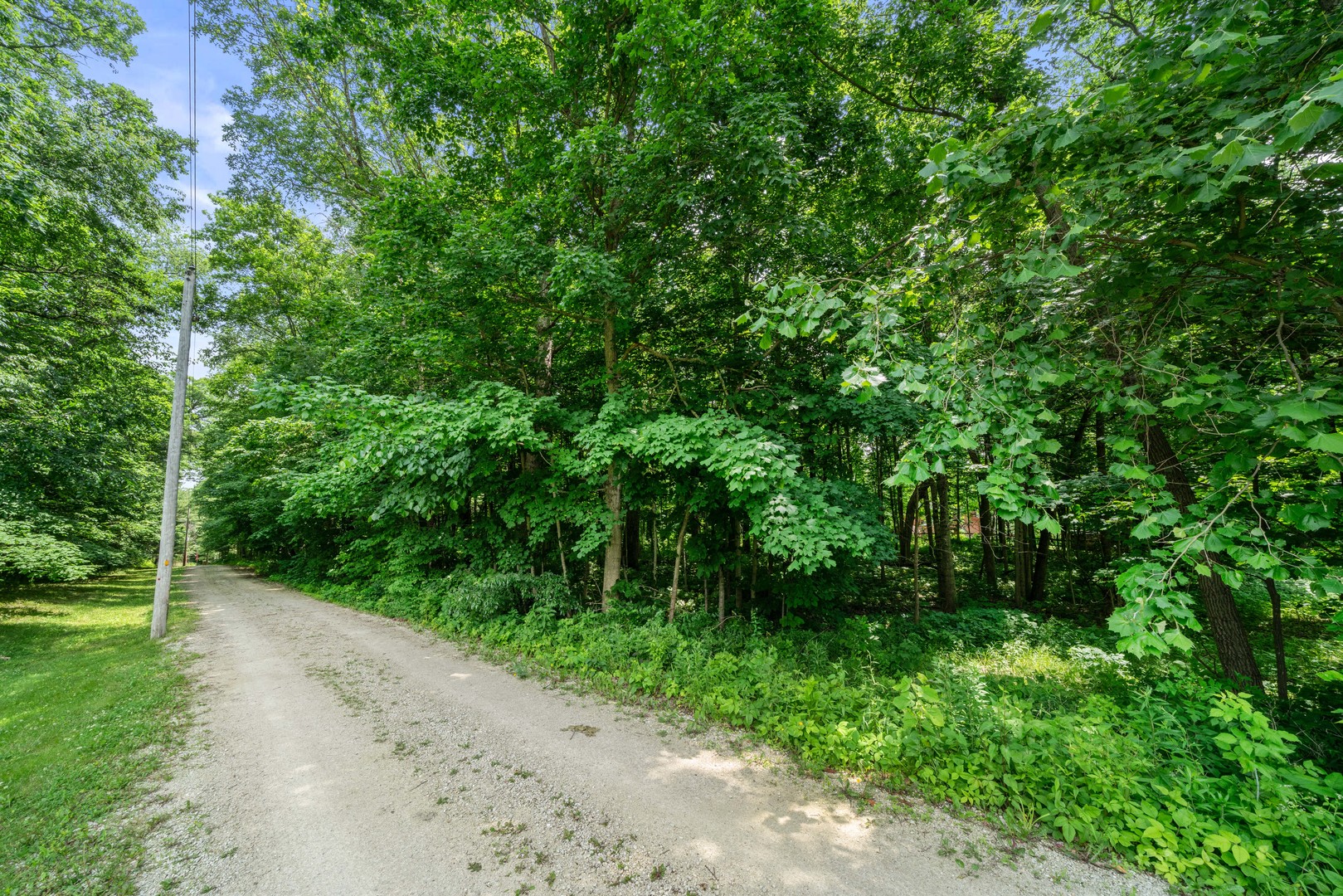 4006 East 1950th Road Sheridan, IL 60551 - Photo 26 of 26 a view of a yard with plants and a trees