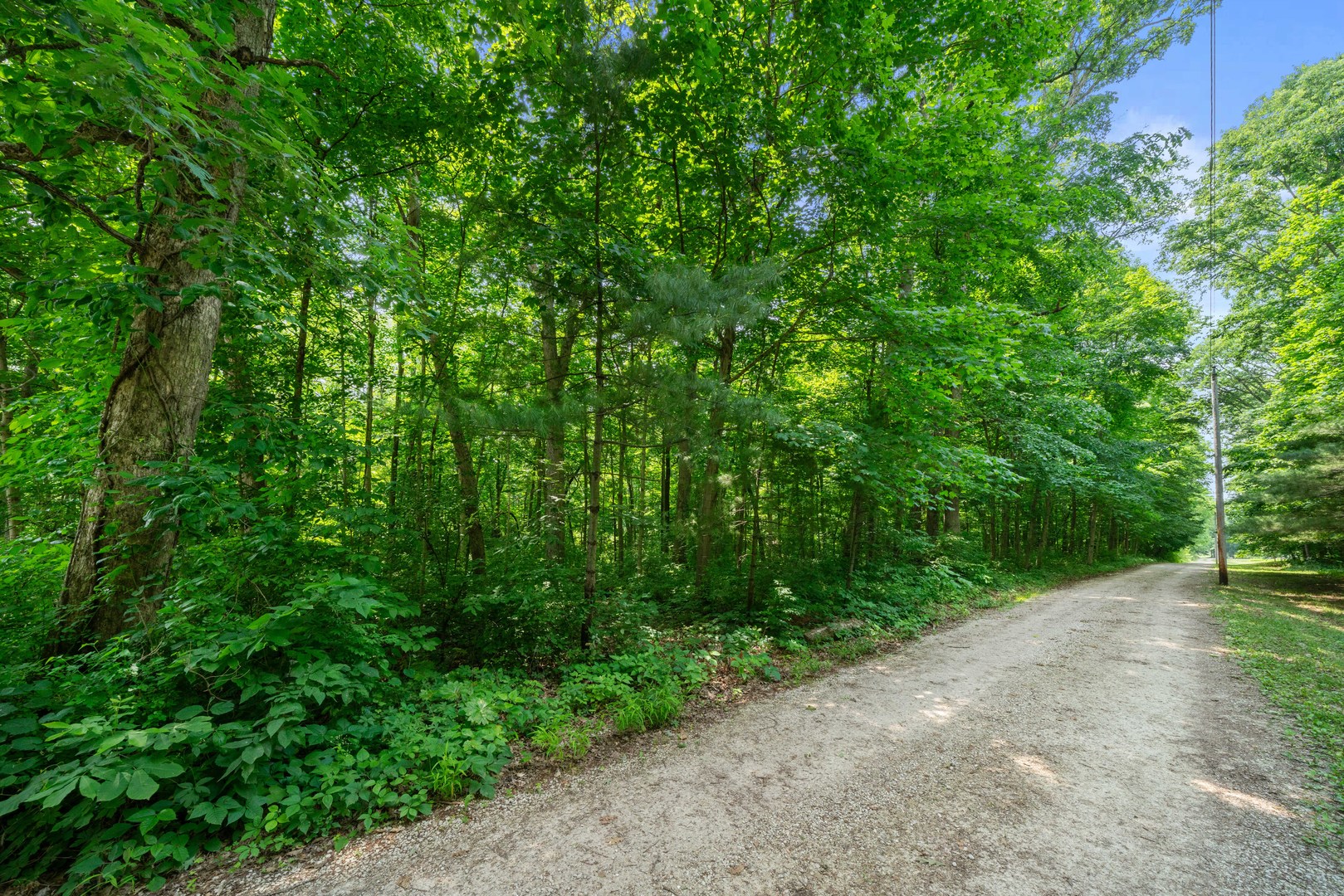 4006 East 1950th Road Sheridan, IL 60551 - Photo 3 of 26 a view of a yard with plants and a small yard