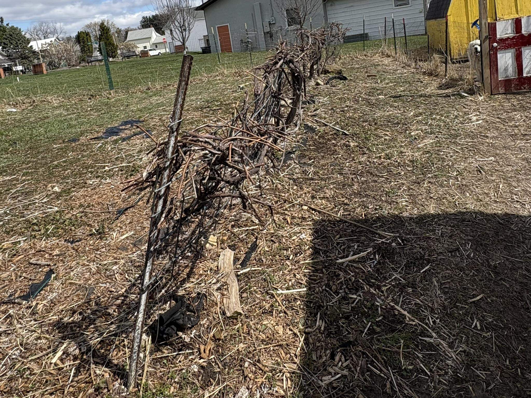 200 Main Street Mount Sterling, WI 54631 - Photo 36 of 46