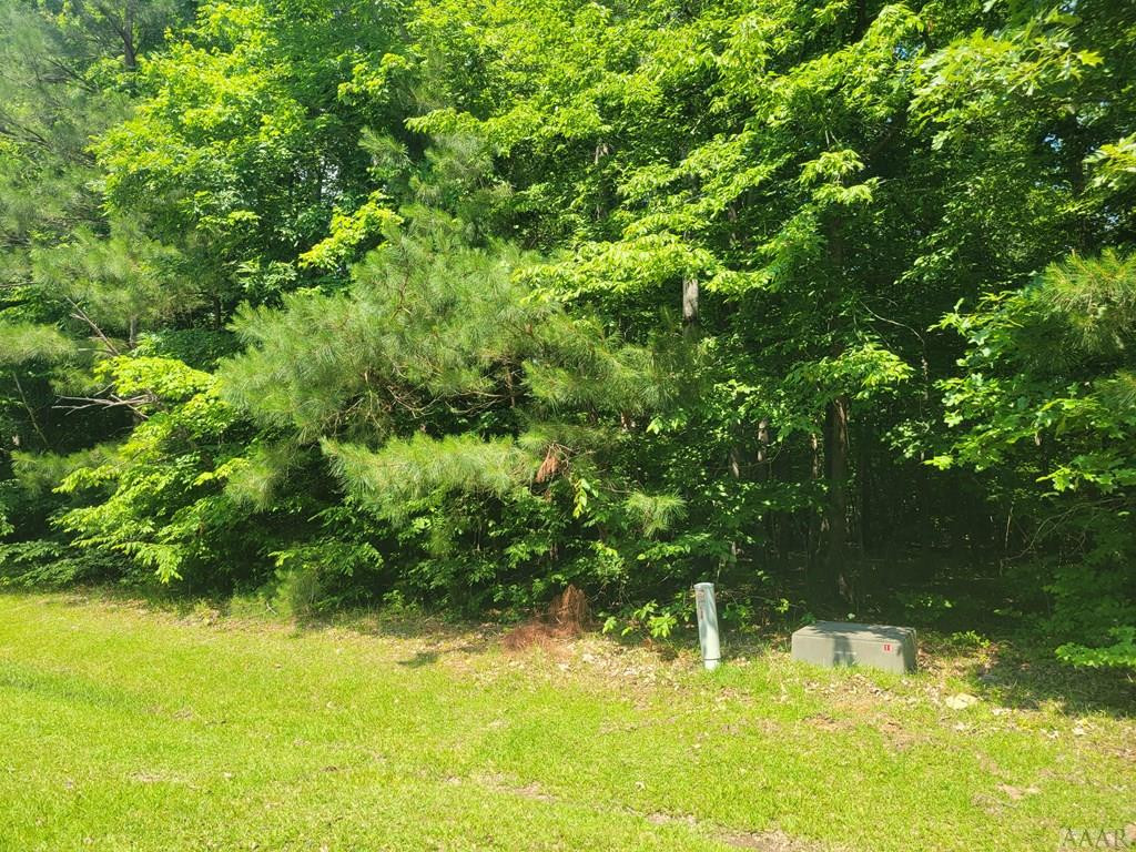 230 Pine Point Road Hertford, NC 27944 - Photo 3 of 4 Gallery Image 3