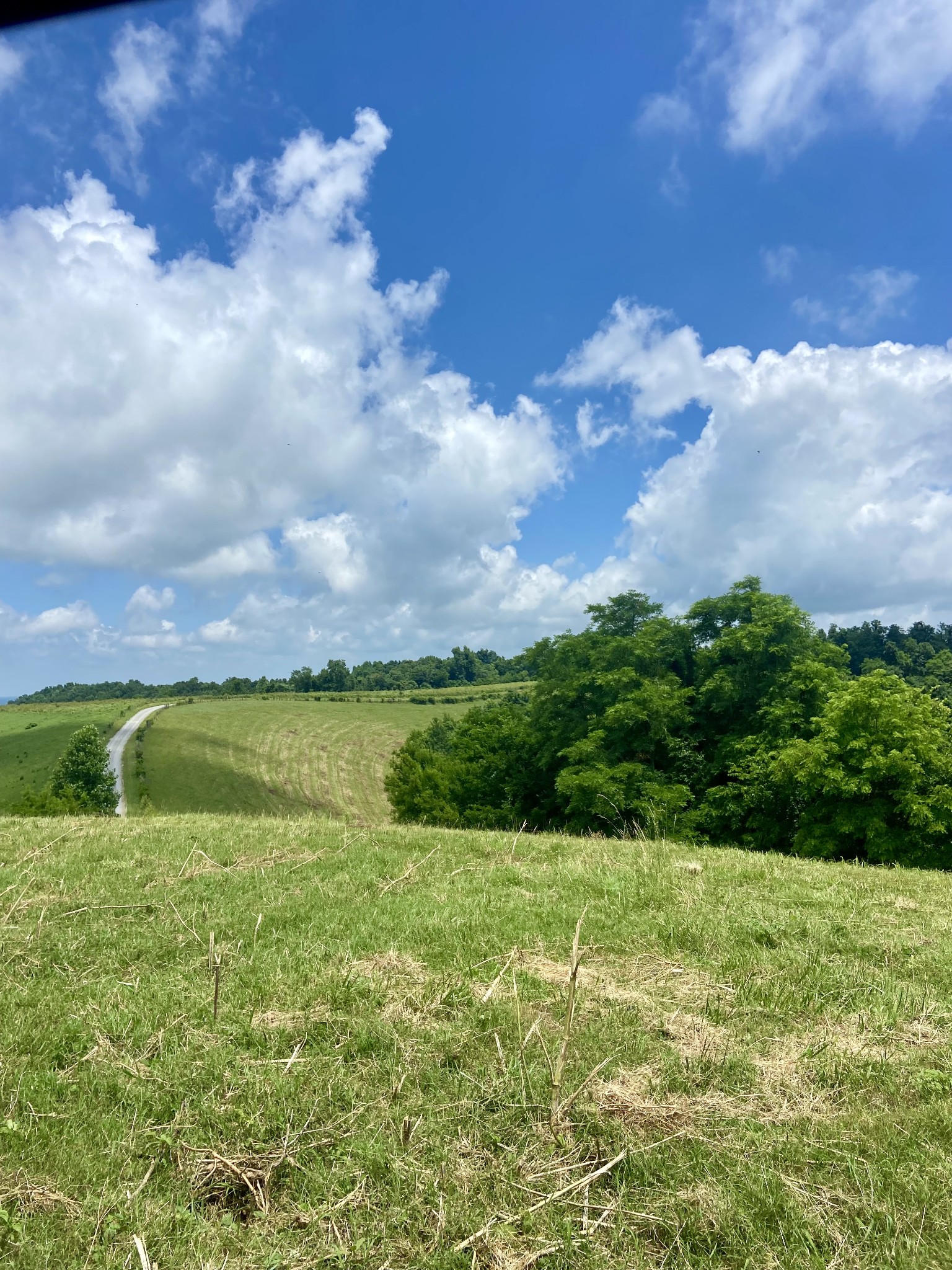 0 Foster Hollow Road Petersburg, TN 37144 - Photo 1 of 10 Gallery Image 1