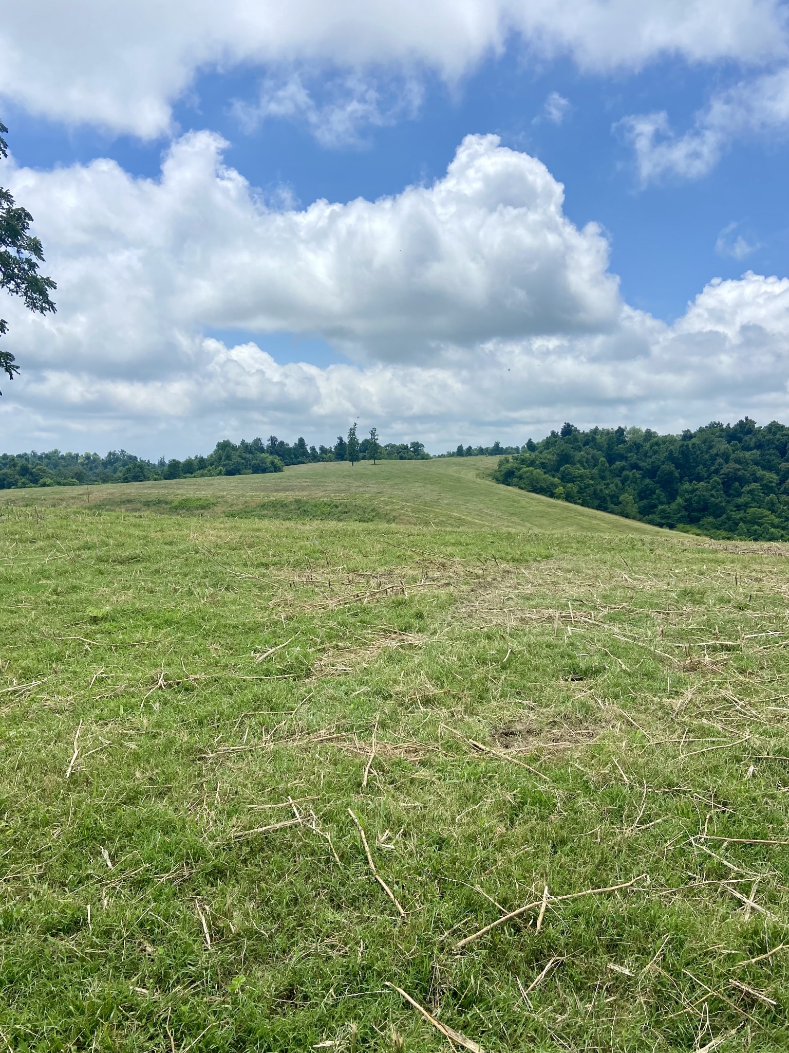 0 Foster Hollow Road Petersburg, TN 37144 - Photo 2 of 10 Gallery Image 2
