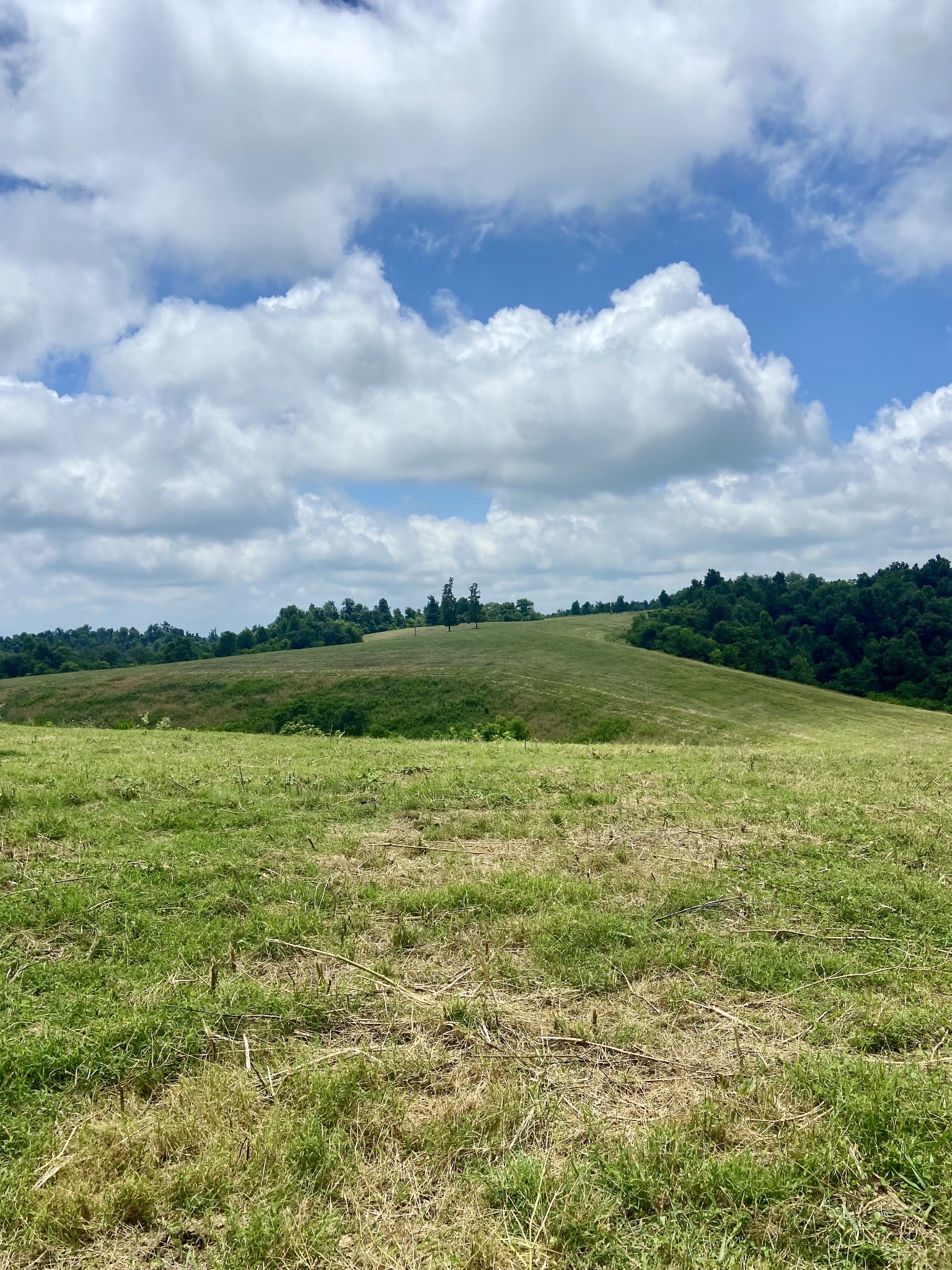 0 Foster Hollow Road Petersburg, TN 37144 - Photo 3 of 10 Gallery Image 3