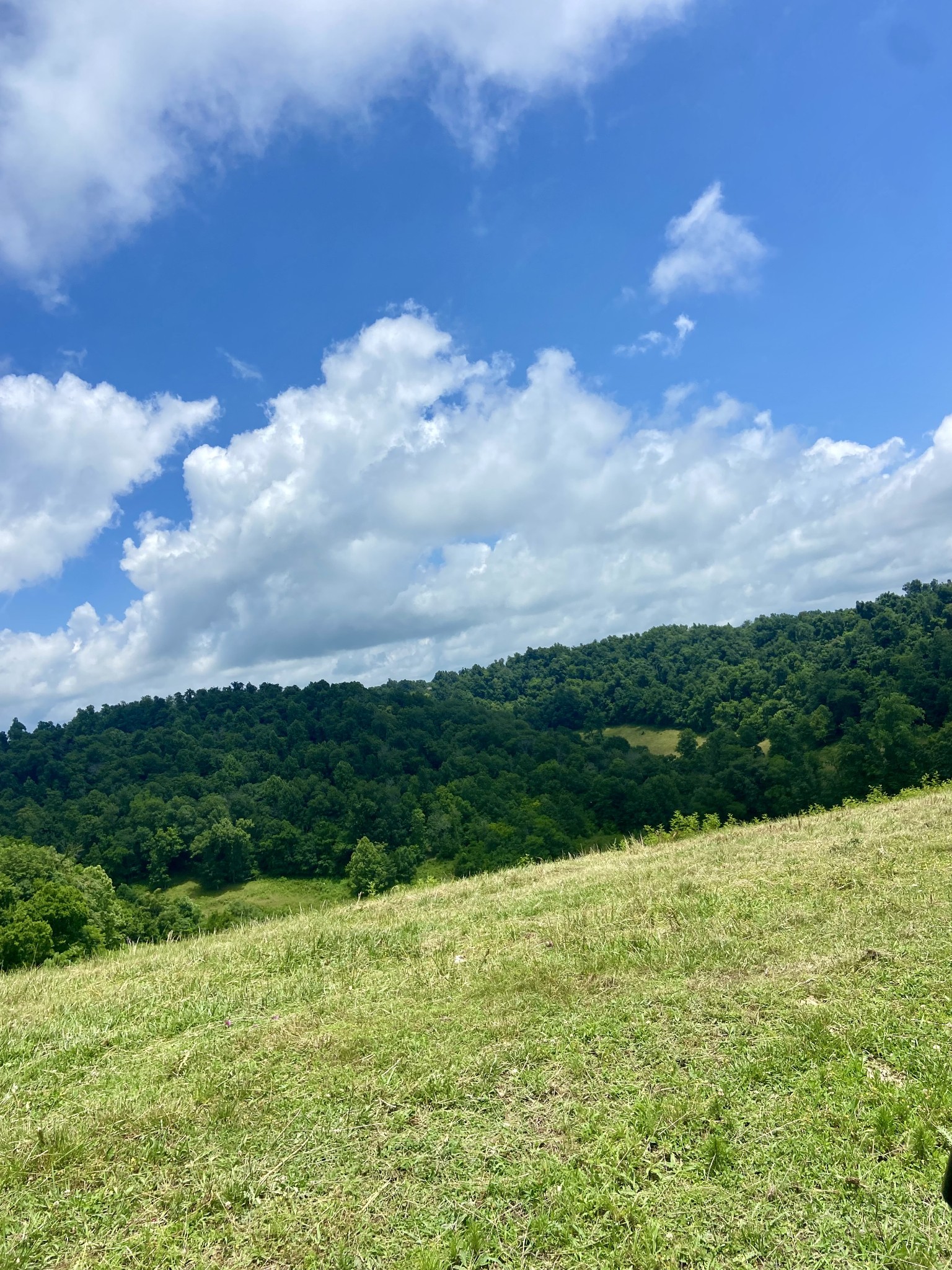 0 Foster Hollow Road Petersburg, TN 37144 - Photo 6 of 10 Gallery Image 6