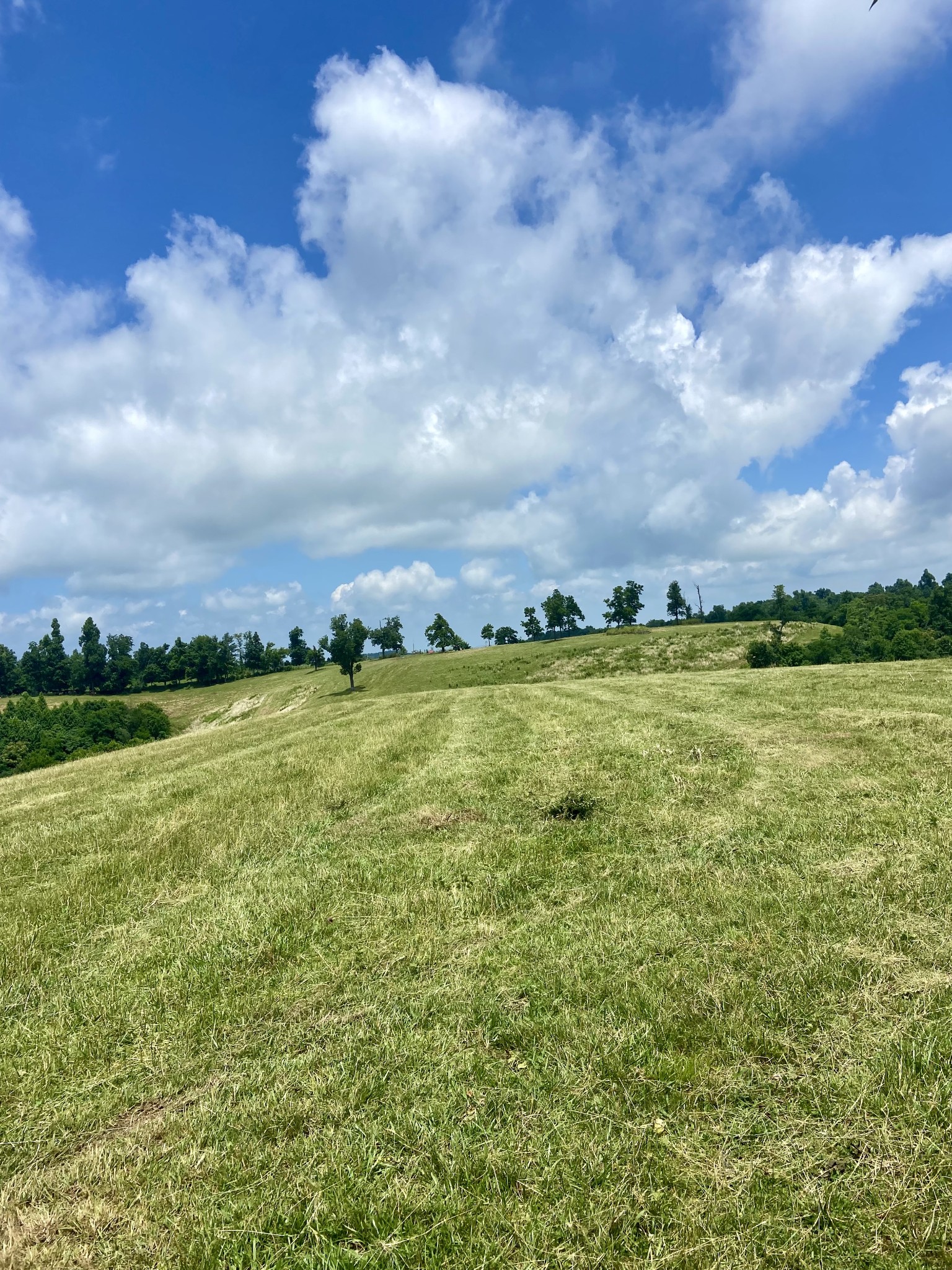 0 Foster Hollow Road Petersburg, TN 37144 - Photo 7 of 10 Gallery Image 7