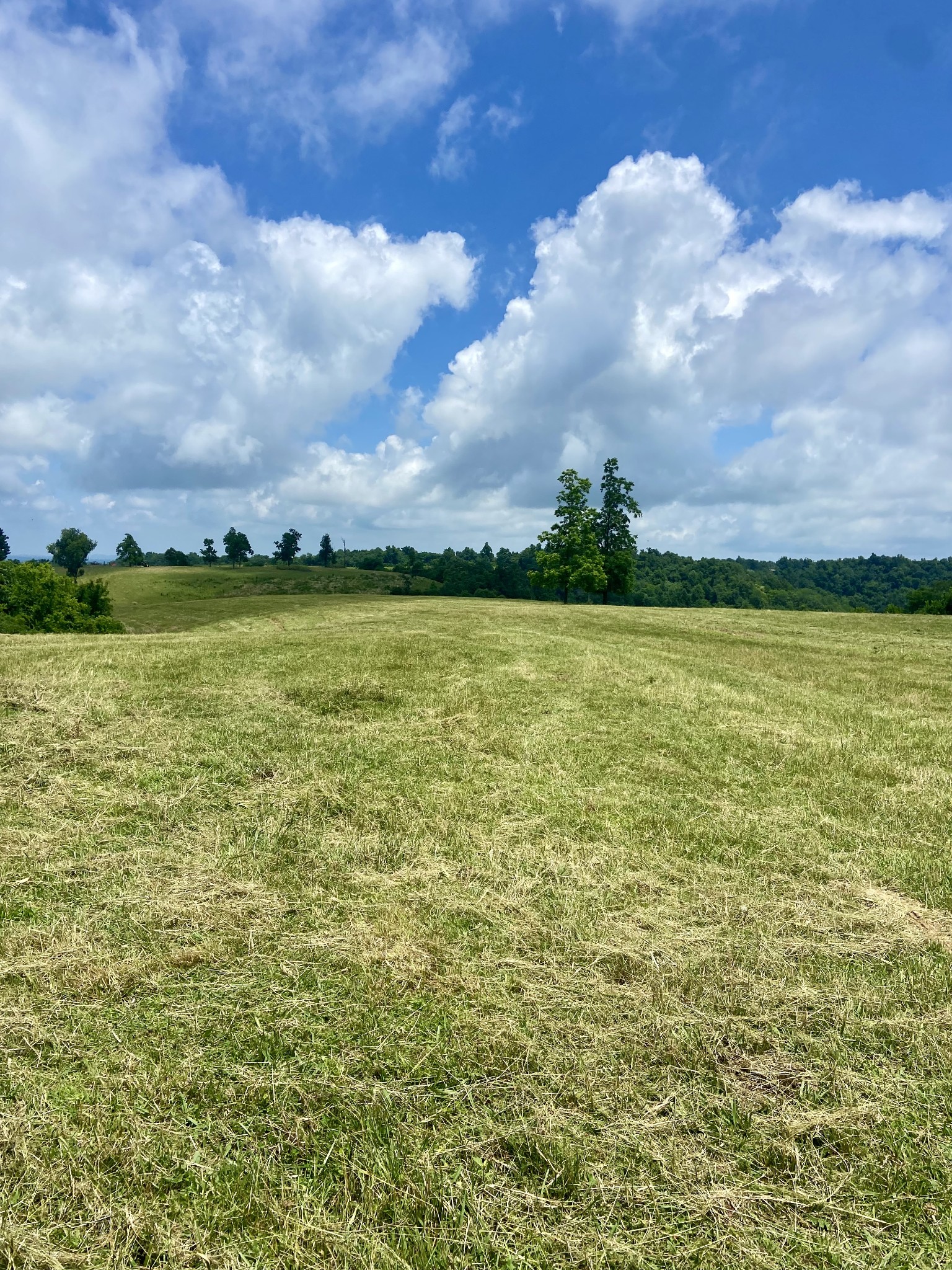 0 Foster Hollow Road Petersburg, TN 37144 - Photo 8 of 10 Gallery Image 8