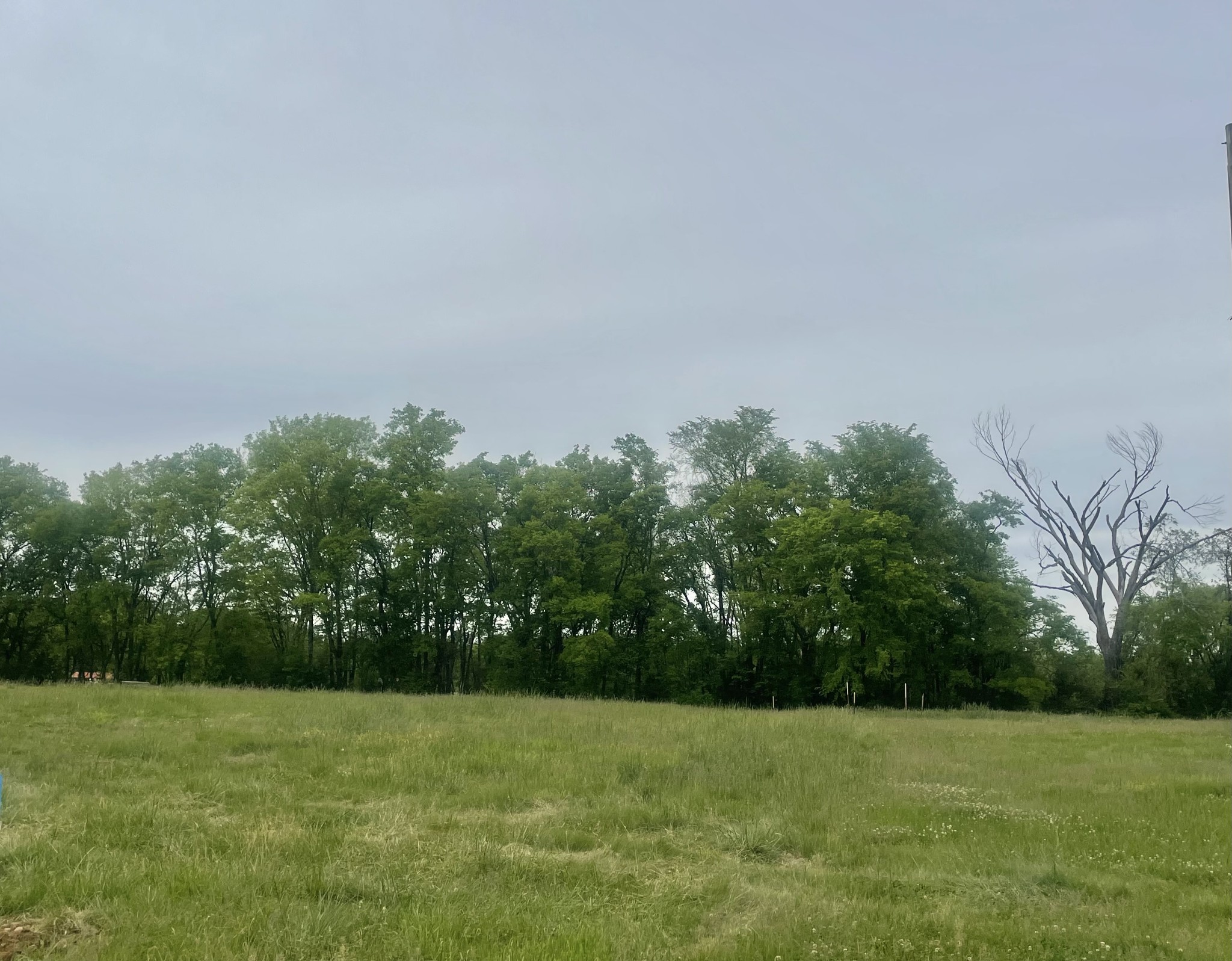 1111 Ruby Road Lewisburg, TN 37091 - Photo 1 of 22 Gallery Image 1