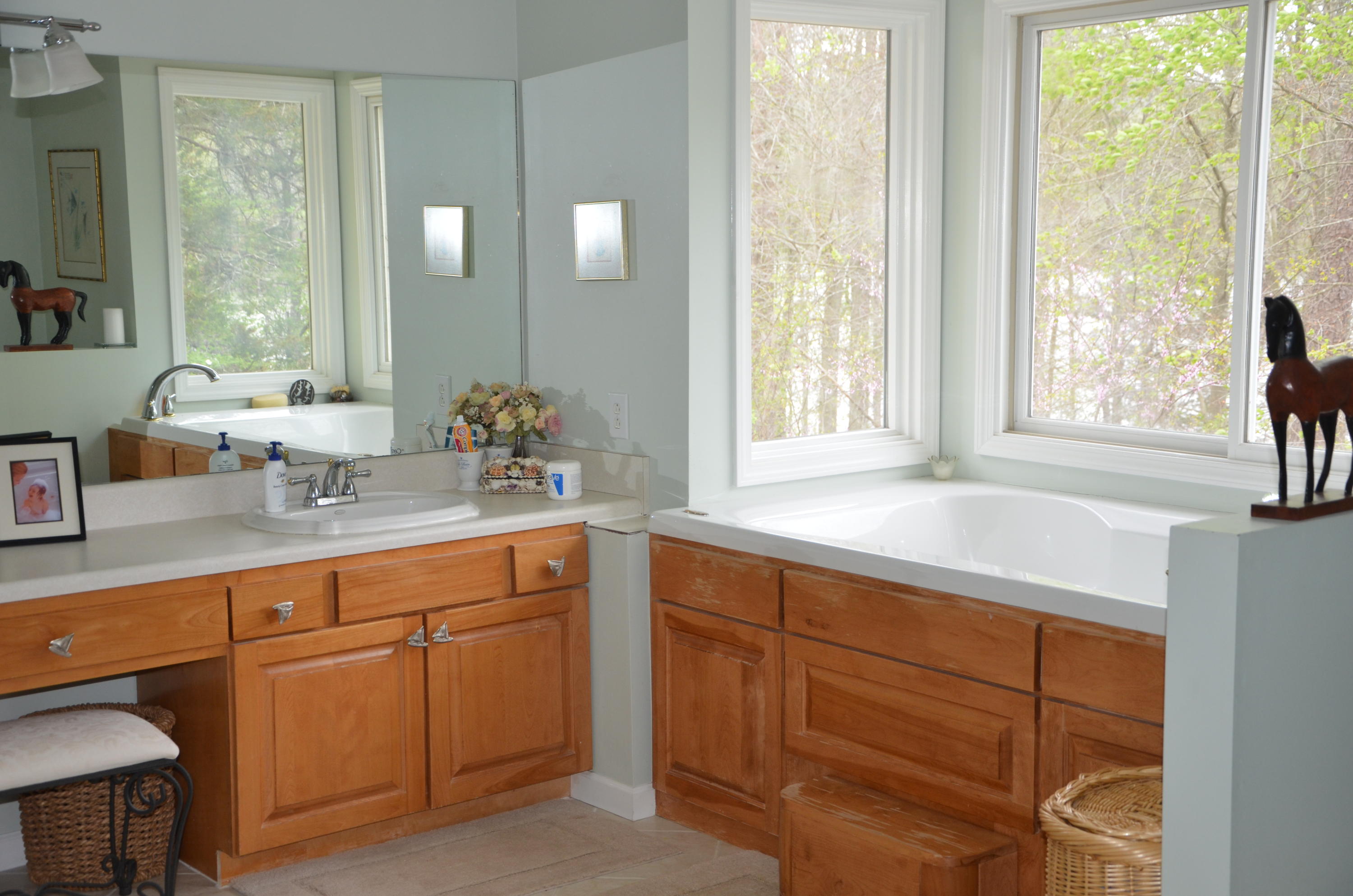 370 Lick Branch Road New Tazewell, TN 37825 - Photo 22 of 31 Master Bath