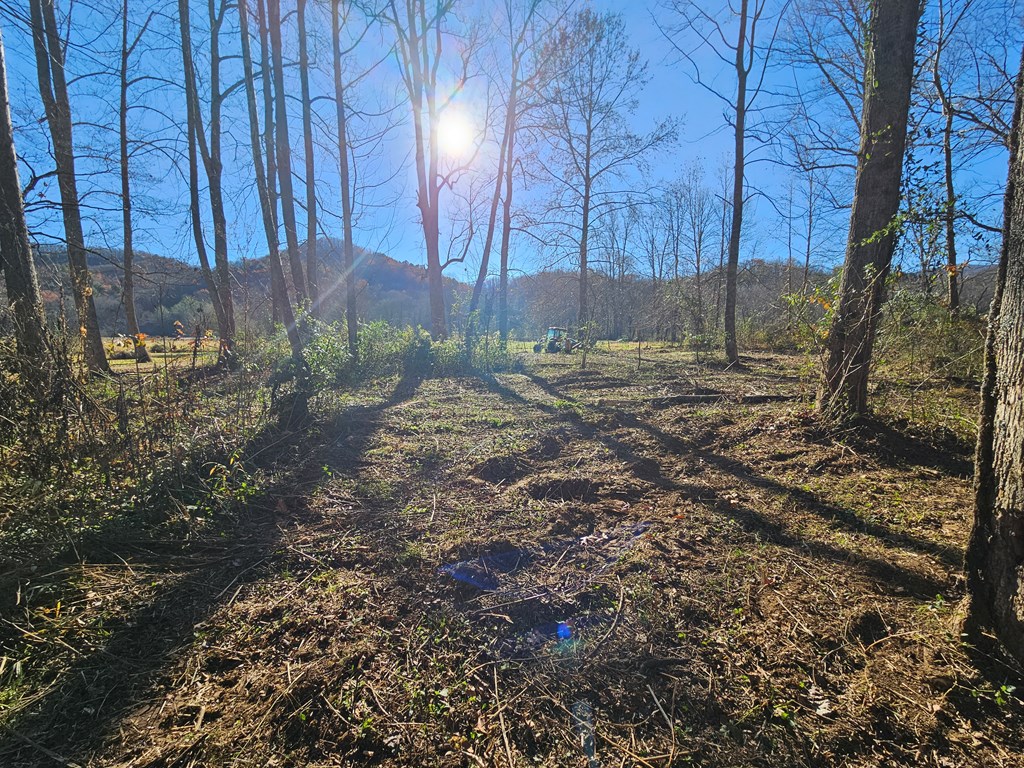 Lot 18 West Mountain Meadows Drive Hayesville, NC 28904 - Photo 2 of 13 a view of a backyard