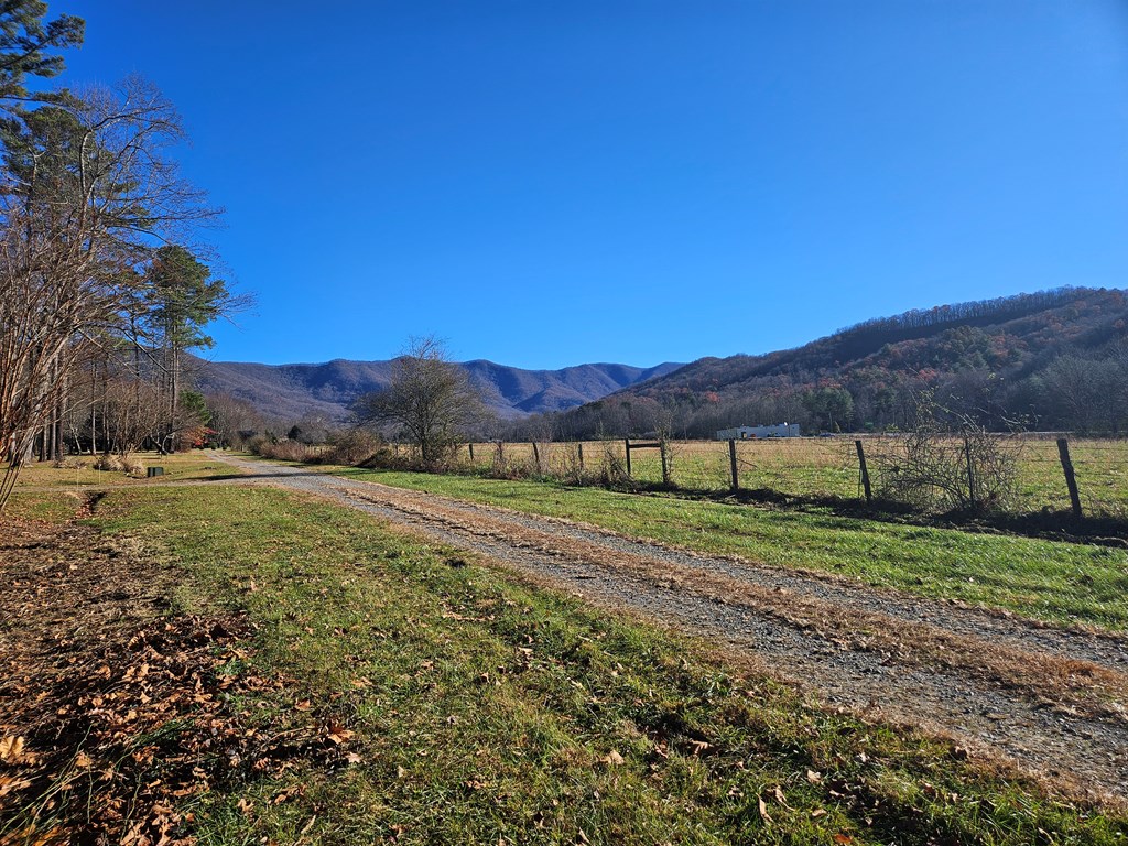 Lot 18 West Mountain Meadows Drive Hayesville, NC 28904 - Photo 3 of 13 a view of a yard