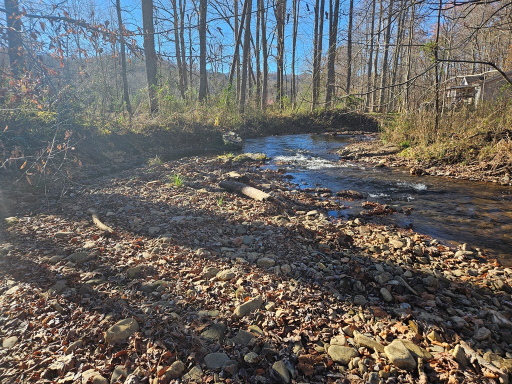 Lot 18 West Mountain Meadows Drive Hayesville, NC 28904 - Photo 5 of 13 a view of a backyard with large trees