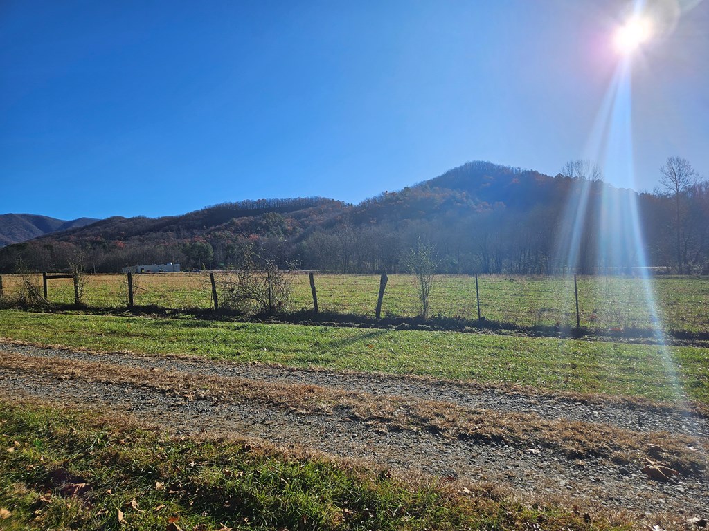 Lot 18 West Mountain Meadows Drive Hayesville, NC 28904 - Photo 8 of 13 a view of a backyard