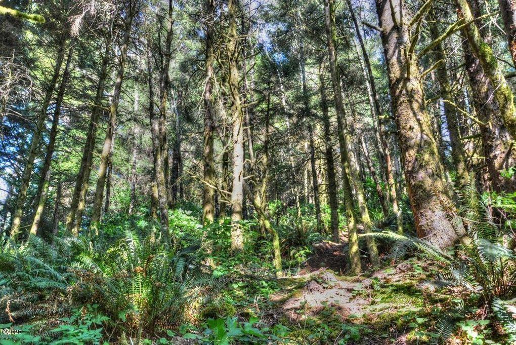 1201 Northeast East Line Road Yachats, OR 97498 - Photo 7 of 10 land4