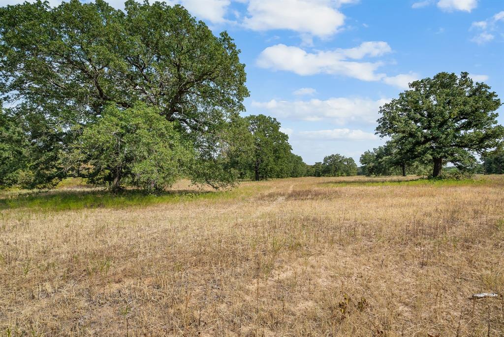 Lot 13 Double B Ranch Road South Perrin, TX 76486 - Photo 12 of 30 a view of lake with green space