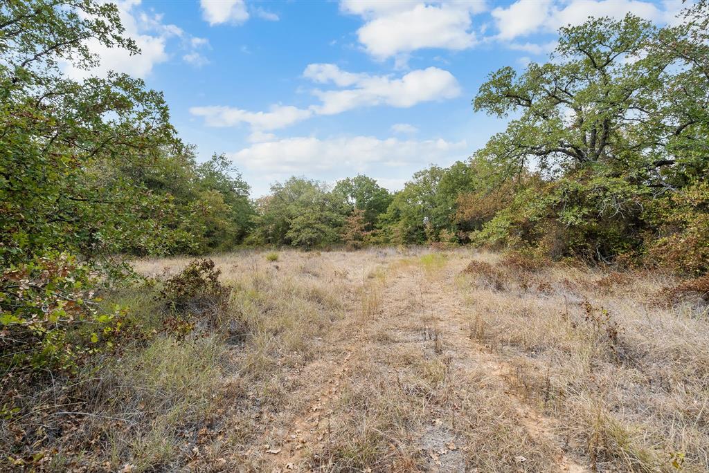Lot 13 Double B Ranch Road South Perrin, TX 76486 - Photo 14 of 30 a view of a lake view