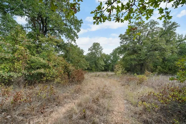 a view of a field of grass and trees