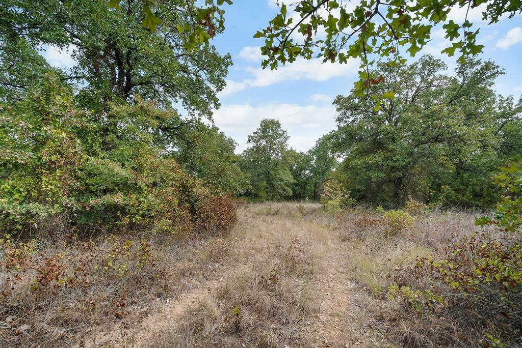 Lot 13 Double B Ranch Road South Perrin, TX 76486 - Photo 15 of 30 a view of a forest with trees in the background