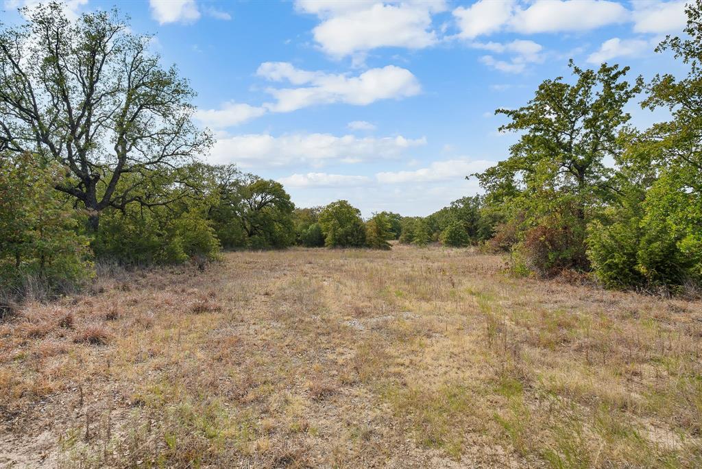 Lot 13 Double B Ranch Road South Perrin, TX 76486 - Photo 17 of 30 a view of a field of grass and trees