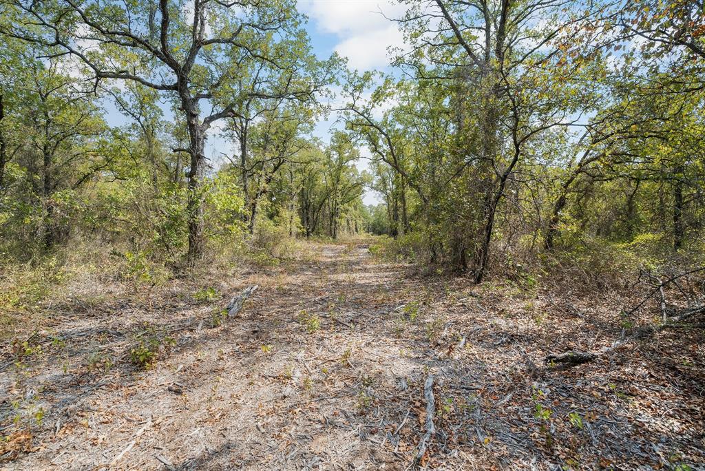 Lot 13 Double B Ranch Road South Perrin, TX 76486 - Photo 7 of 30 a view of outdoor space with large trees