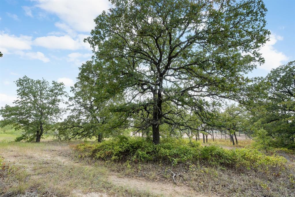 Lot 13 Double B Ranch Road South Perrin, TX 76486 - Photo 10 of 30 a backyard of a house with lots of trees