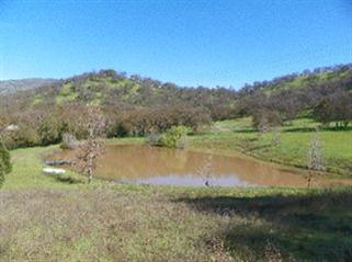 35319 Hopewell Road Squaw Valley, CA 93675 - Photo 28 of 28 Gallery Image 28