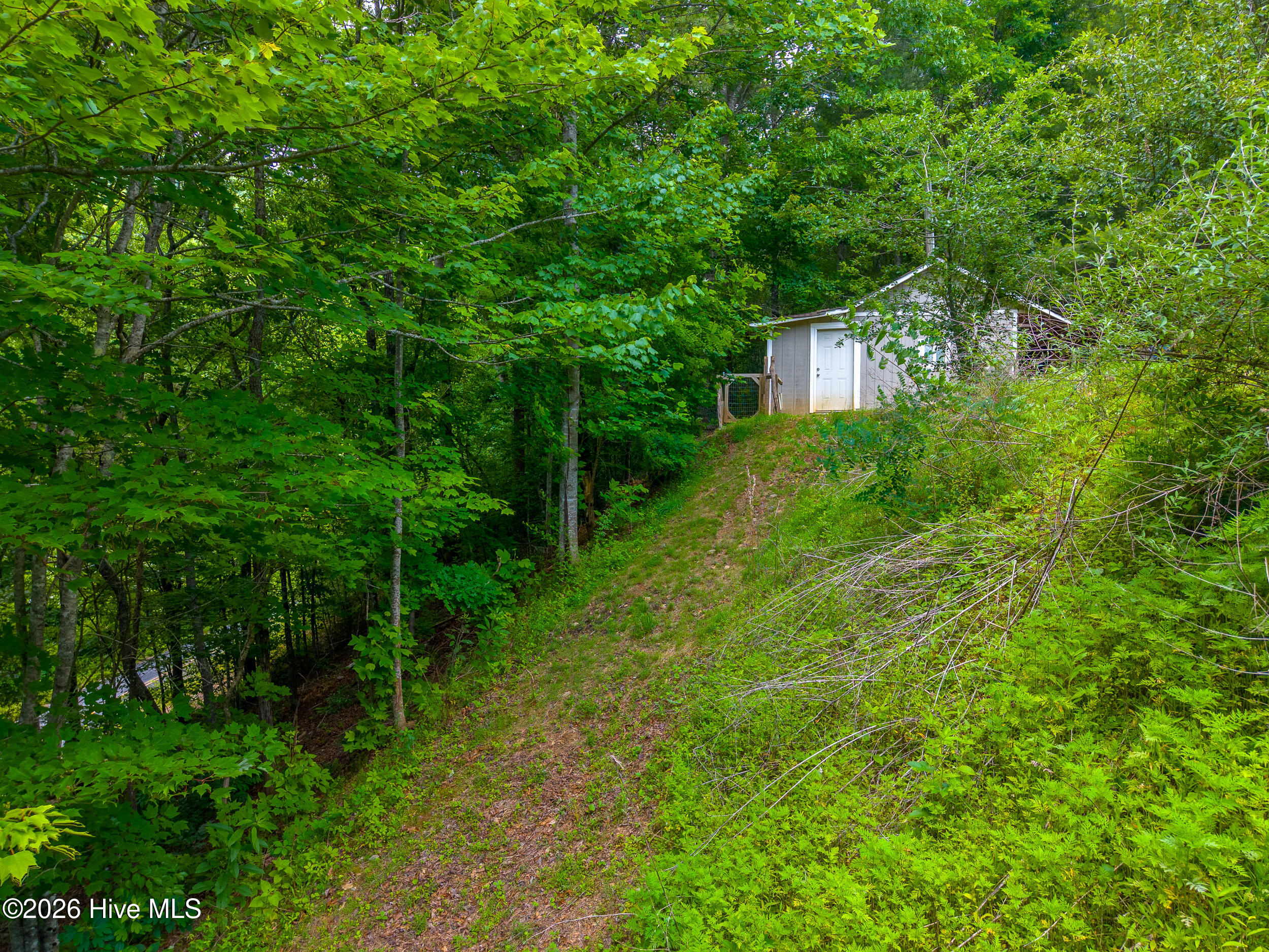 1044 Shell Stand Road Almond, NC 28702 - Photo 62 of 74