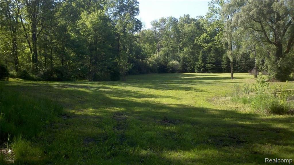 V/l V/l Doyle Road Pinckney, MI 48169 - Photo 6 of 24