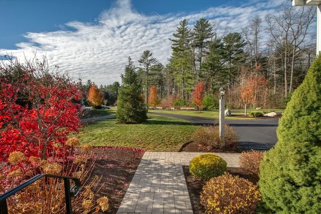 a view of backyard with green space
