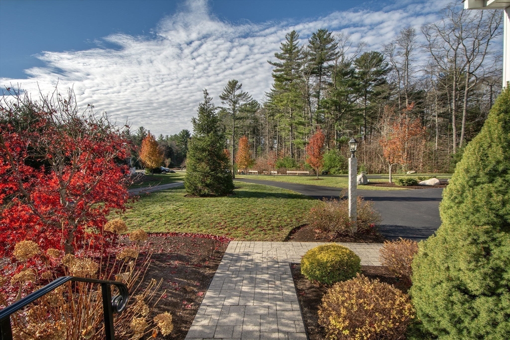 18 Kevin's Way, Unit 18 Scituate, MA 02066 - Photo 27 of 33 a view of backyard with green space