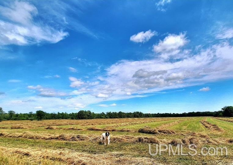 28232 Post Office Road Mass City, MI 49948 - Photo 41 of 44
