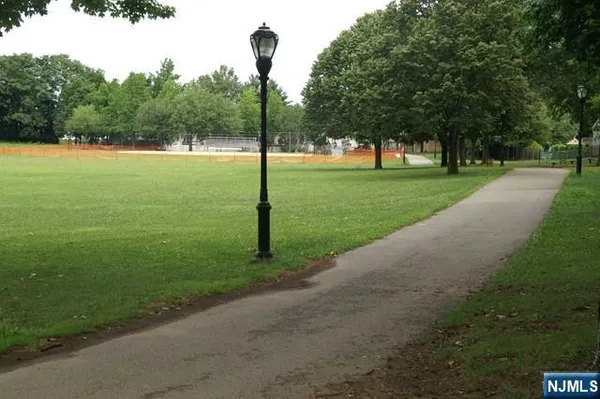 a view of a park with large trees