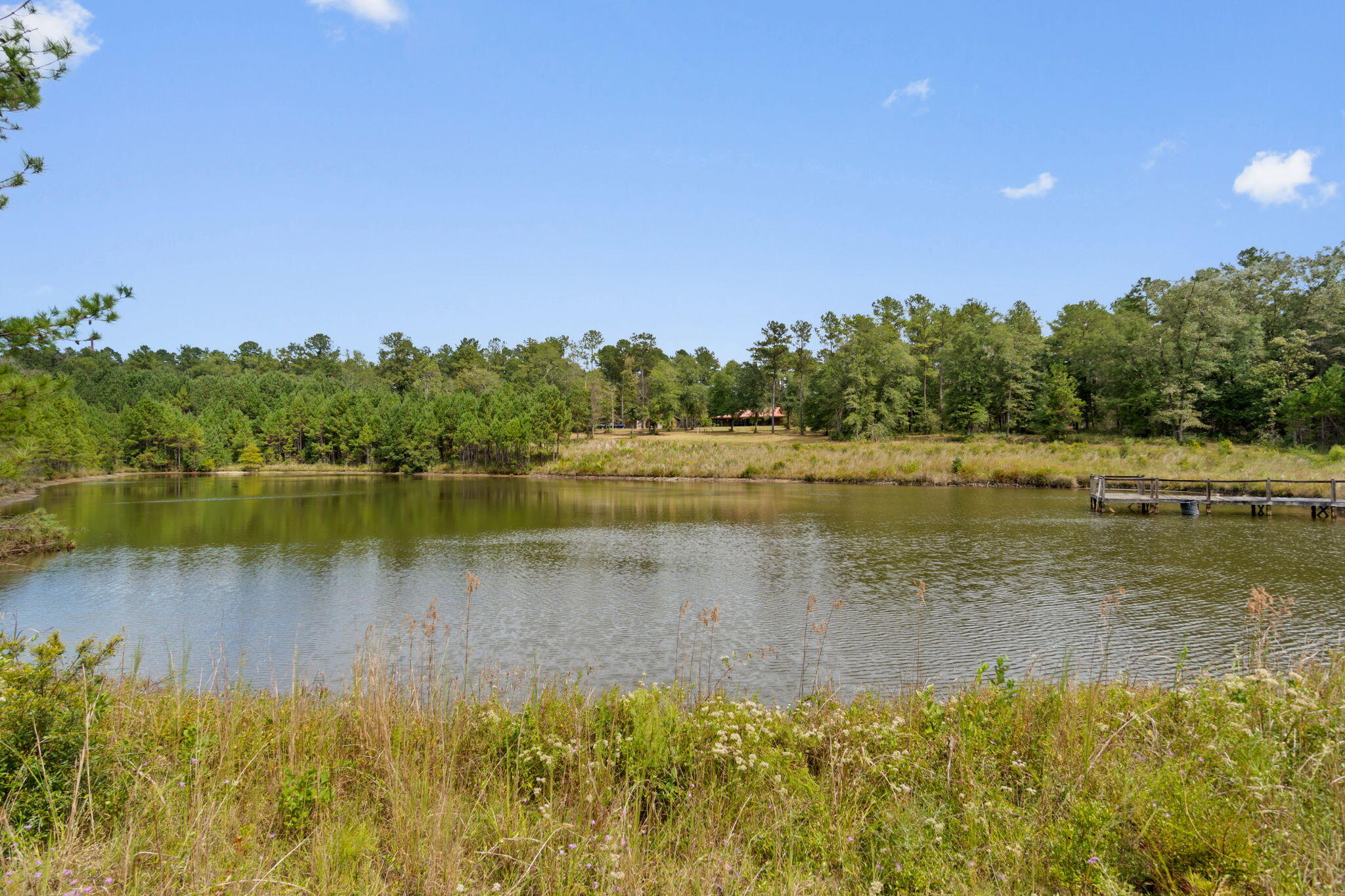 3350 New Ebenezer Road Laurel Hill, FL 32567 - Photo 31 of 53 a view of a lake with a yard and mountain view