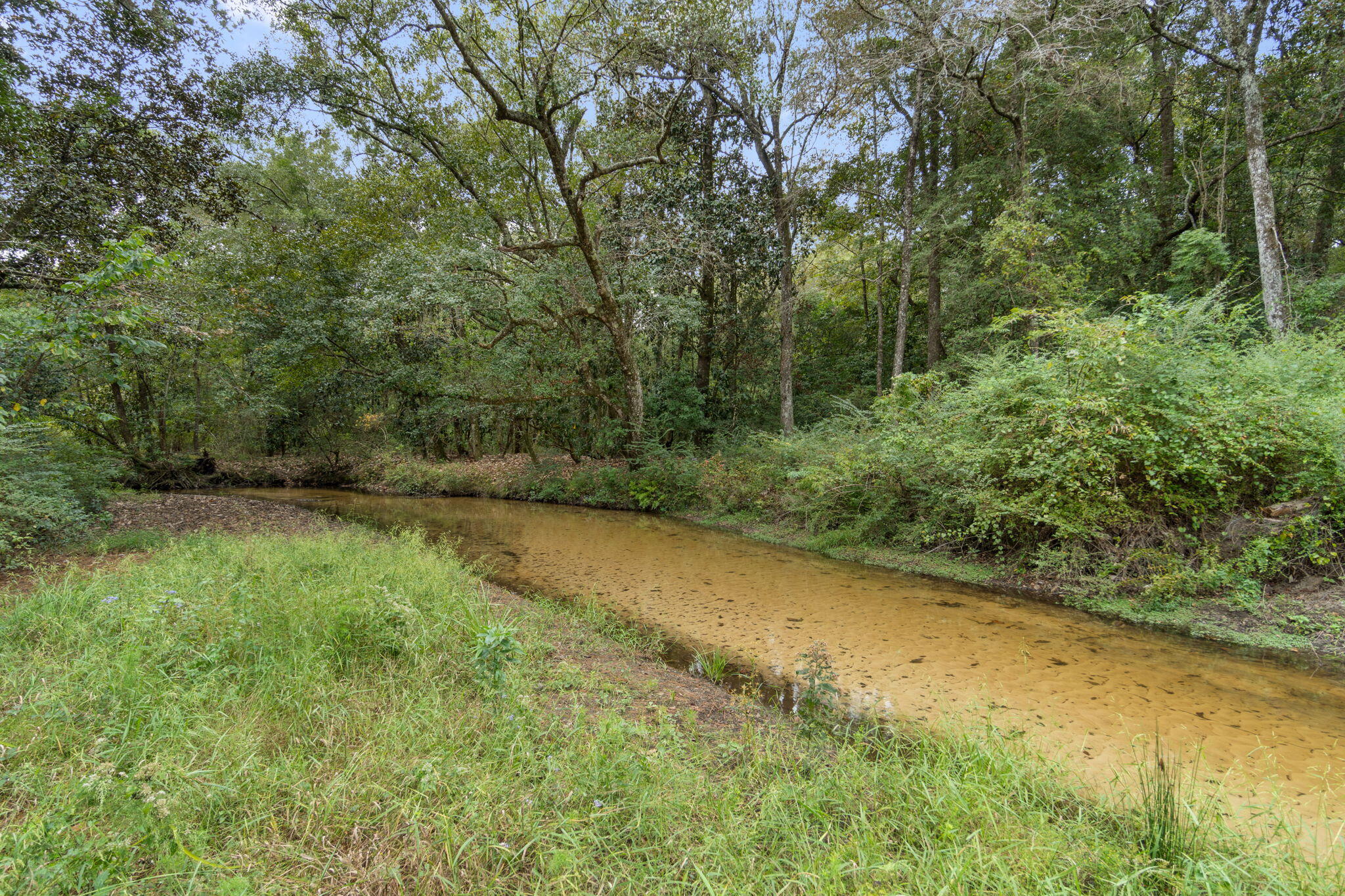 3350 New Ebenezer Road Laurel Hill, FL 32567 - Photo 38 of 53 a view of a yard with a tree