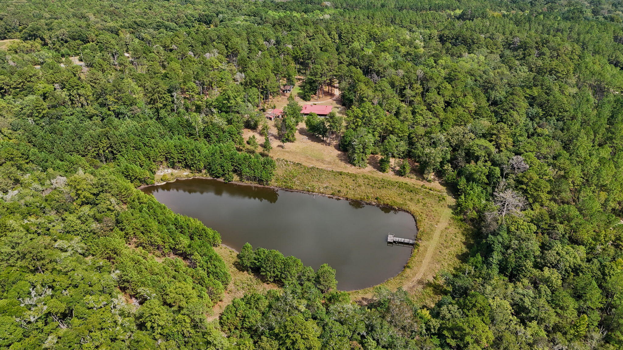 3350 New Ebenezer Road Laurel Hill, FL 32567 - Photo 47 of 53 an aerial view of a house with a yard and large trees