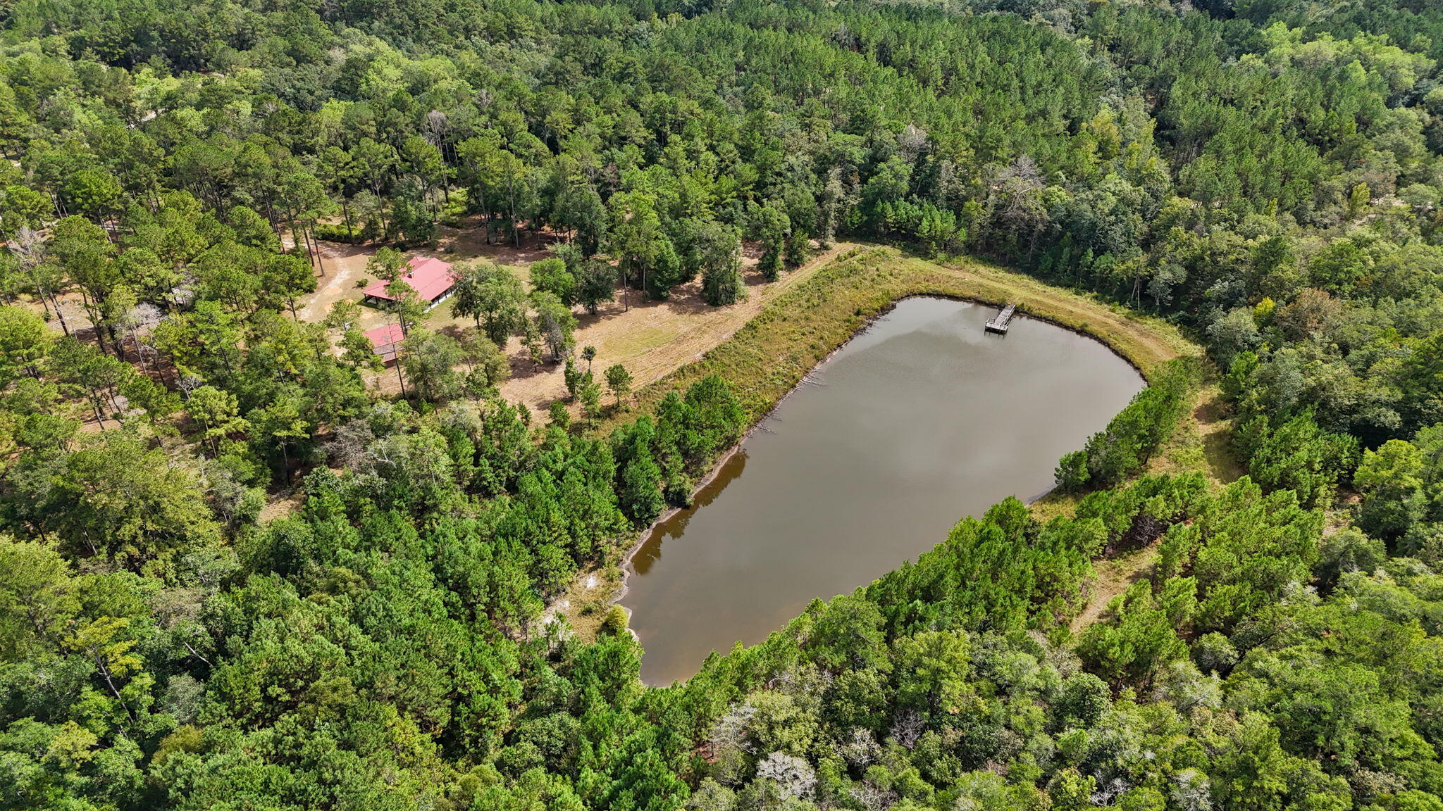 3350 New Ebenezer Road Laurel Hill, FL 32567 - Photo 48 of 53 an aerial view of a house with a yard and large trees