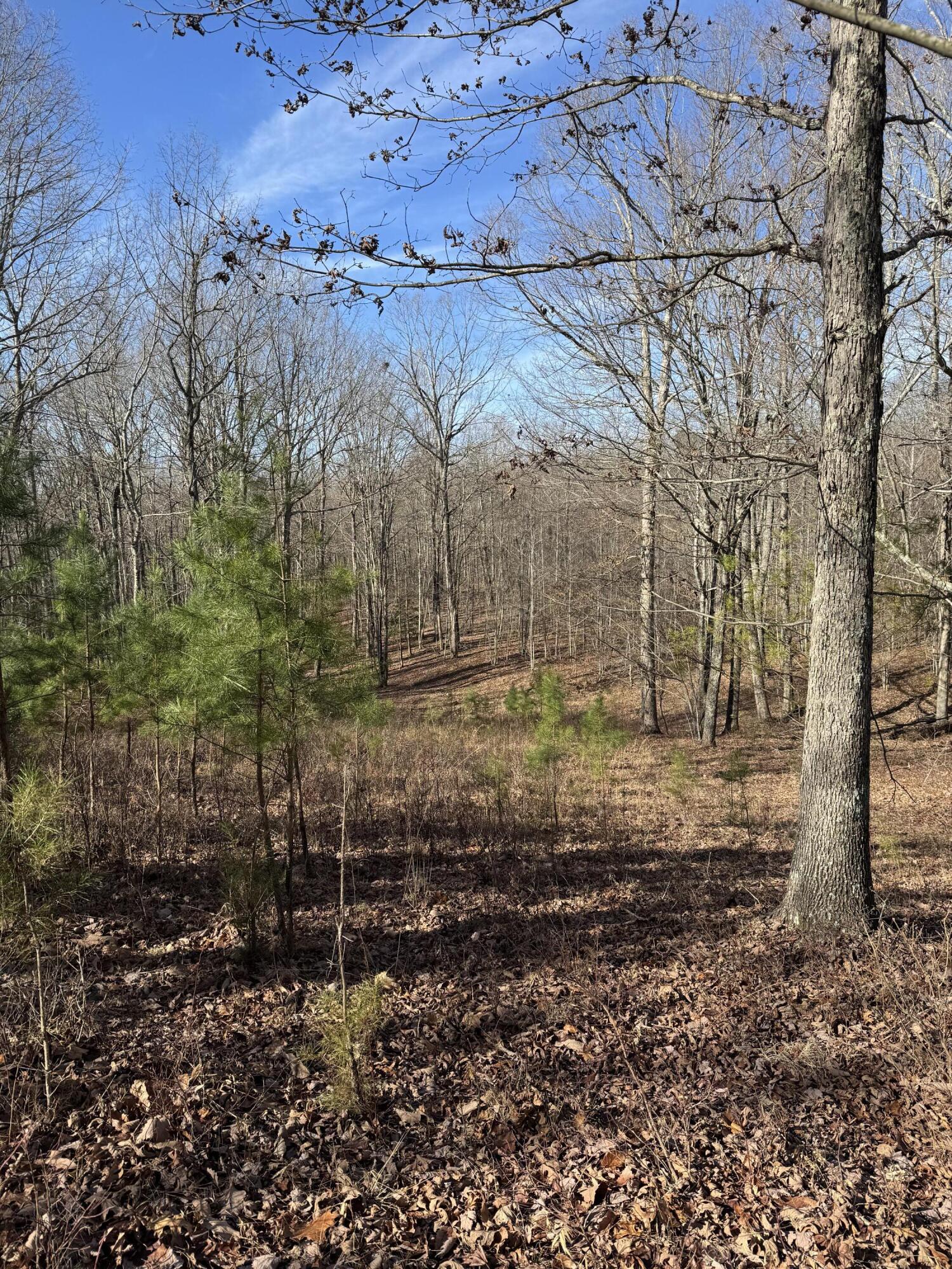 0 Hobbstown Road, Unit LOT 7 Dunlap, TN 37327 - Photo 19 of 44 IMG_6685