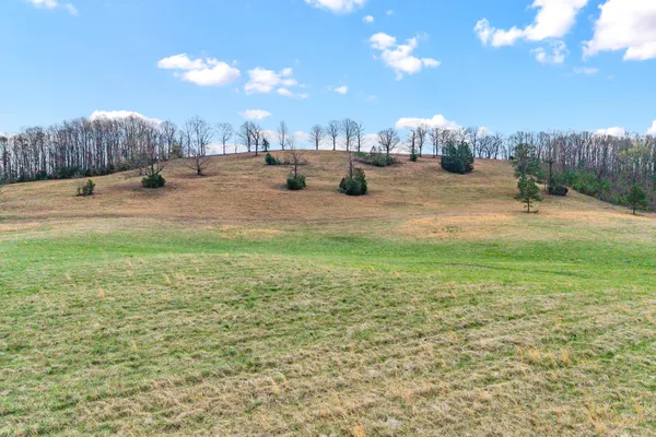 $51,500 | Lot 5 North Nopone Valley Road, Unit 1, Decatur, TN 37322