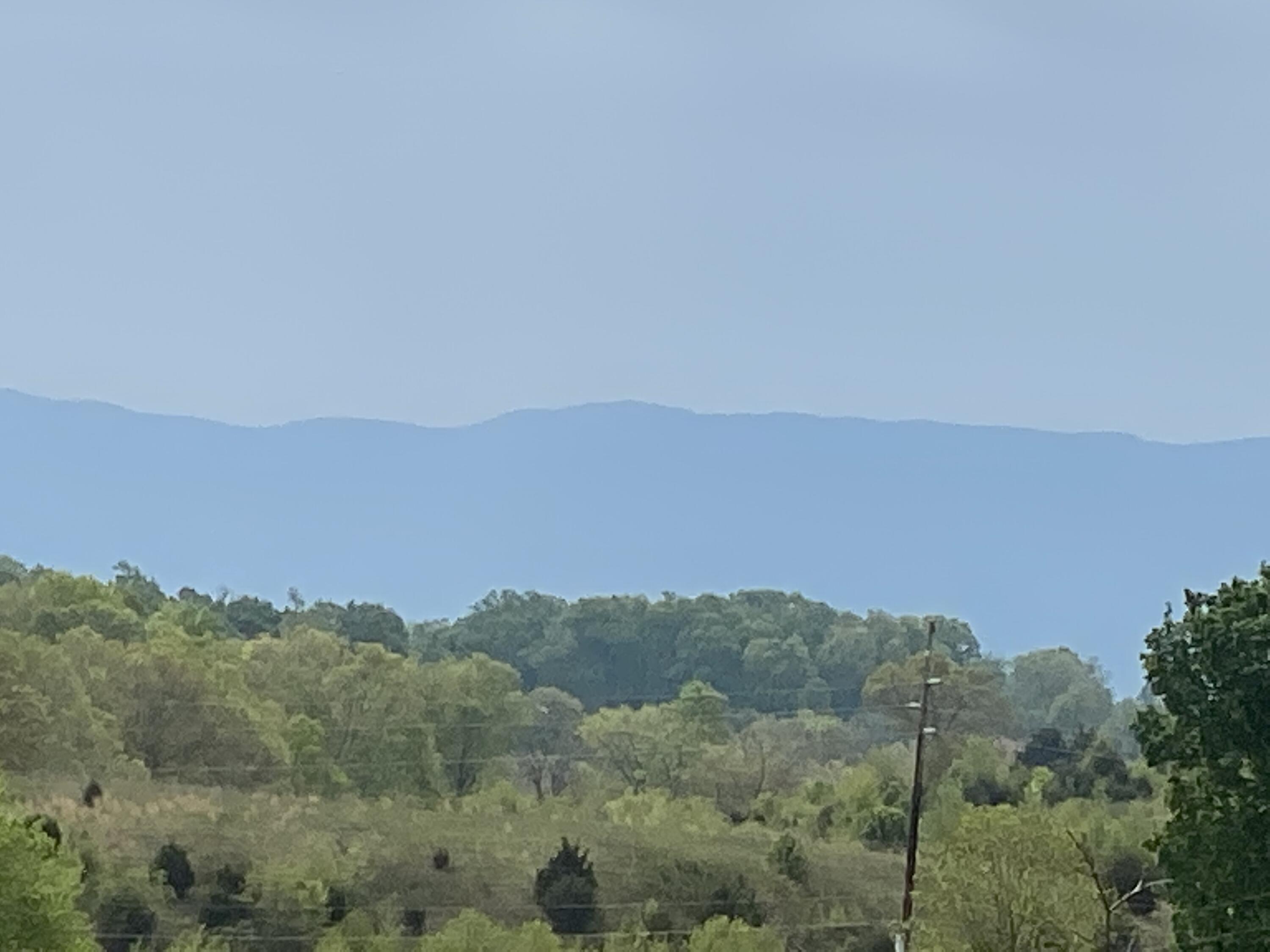 8081 Snapps Ferry Road Chuckey, TN 37641 - Photo 27 of 56 IMG_8830