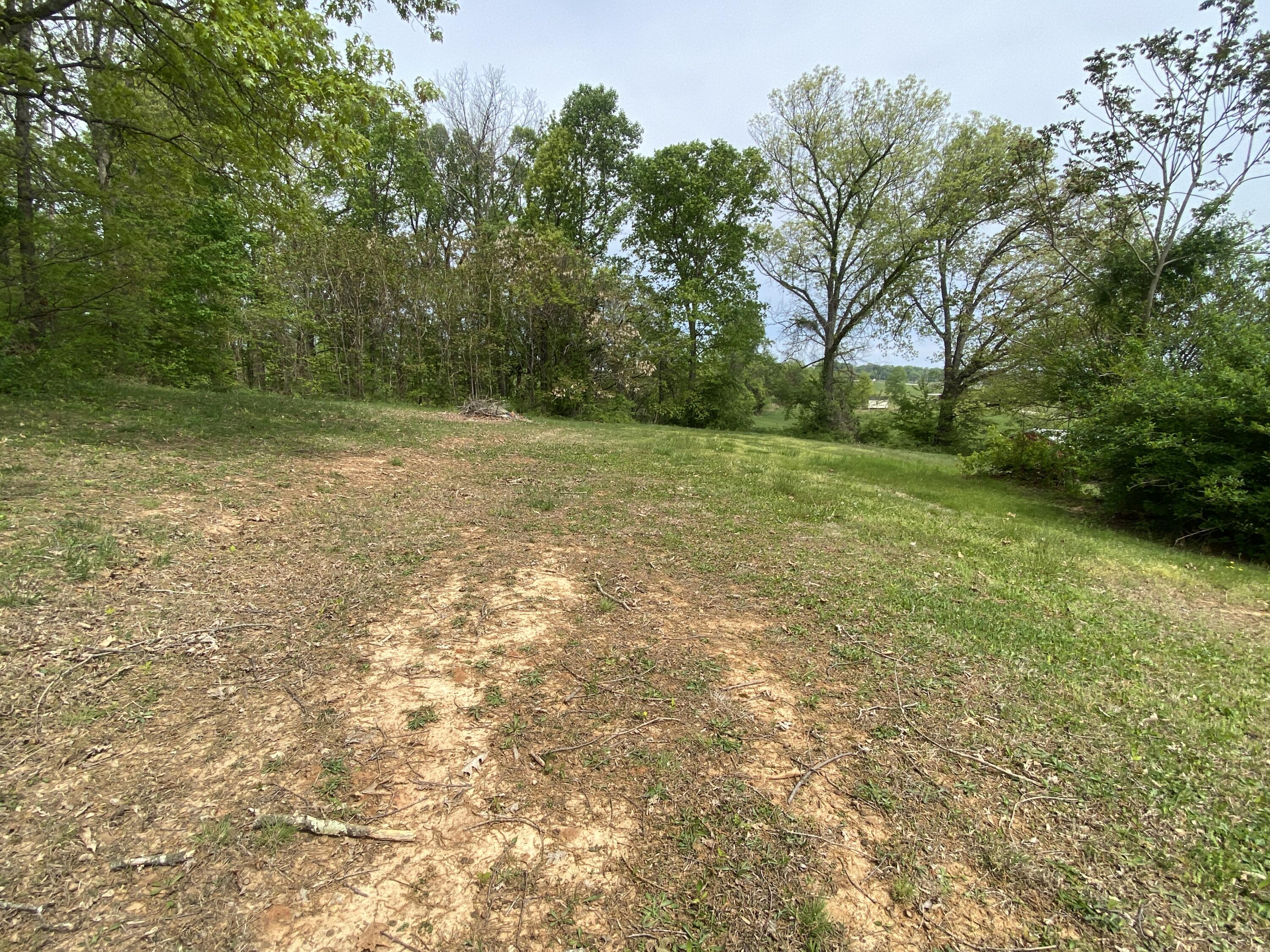 8081 Snapps Ferry Road Chuckey, TN 37641 - Photo 32 of 56 IMG_8833