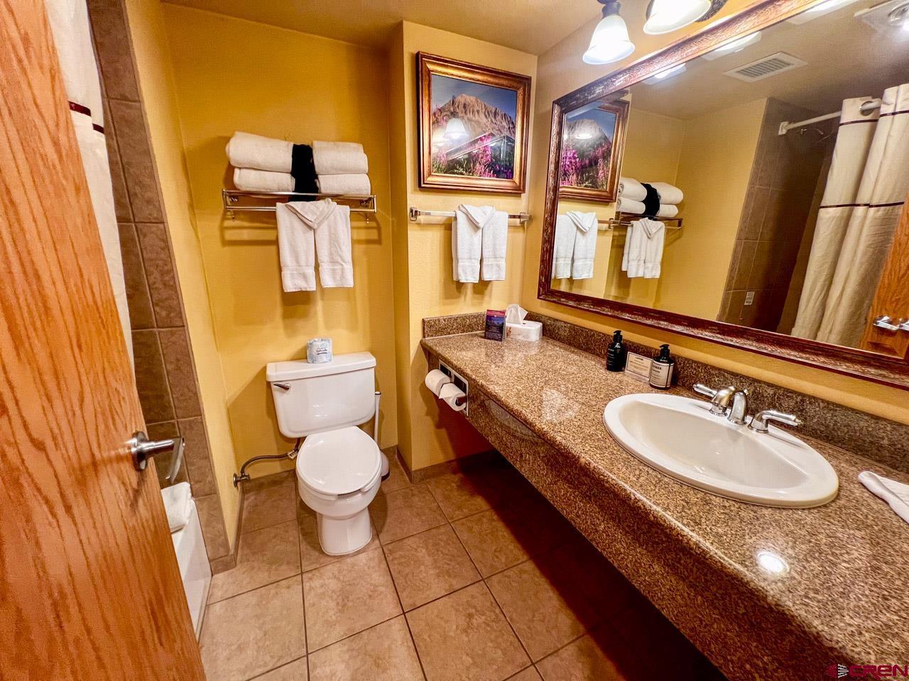 6 Emmons Road, Unit 224 Crested Butte, CO 81225 - Photo 18 of 22 Gallery Image 18