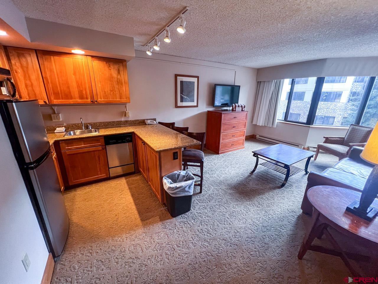 6 Emmons Road, Unit 224 Crested Butte, CO 81225 - Photo 8 of 22 Gallery Image 8