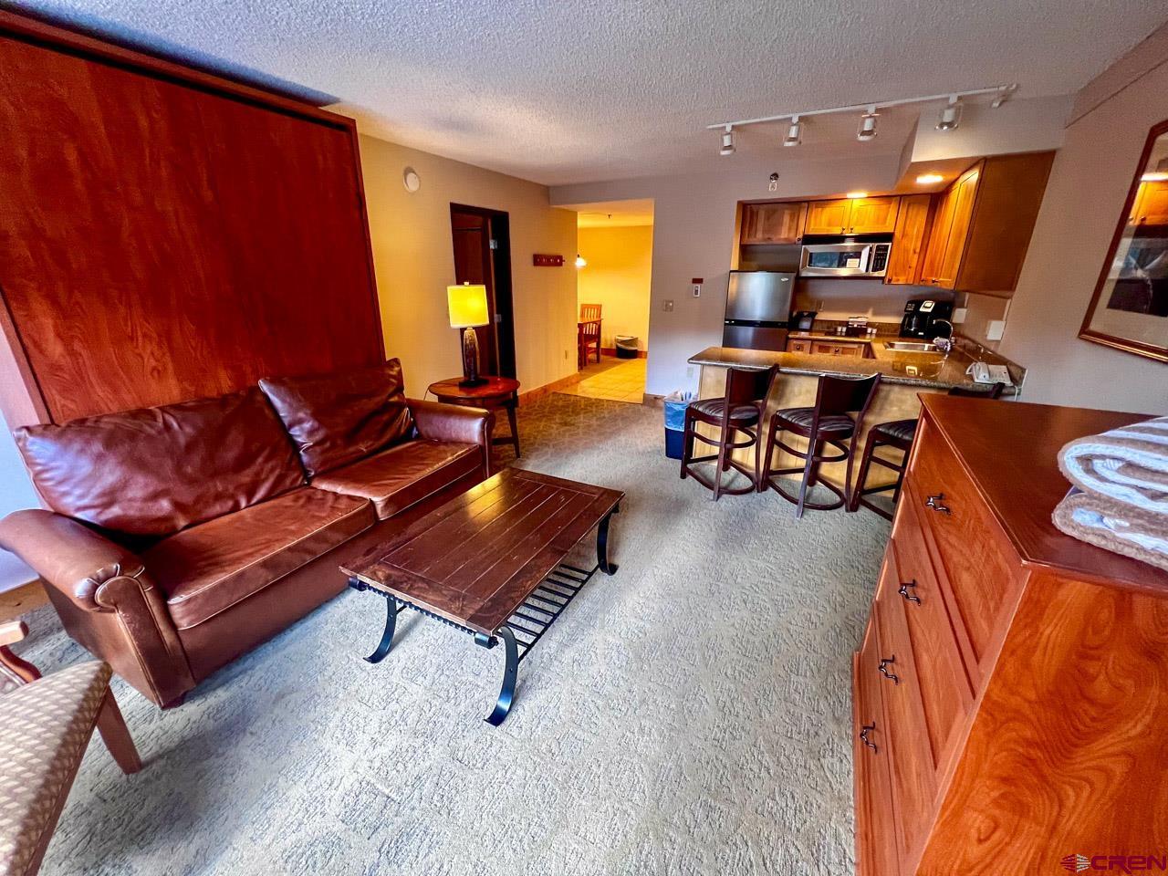 6 Emmons Road, Unit 224 Crested Butte, CO 81225 - Photo 9 of 22 Gallery Image 9