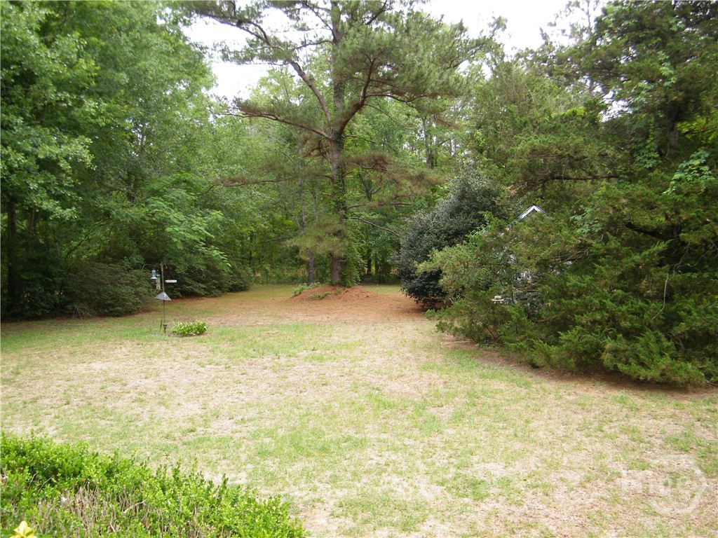 1203 Kendricks Road Brooklet, GA 30415 - Photo 5 of 28 Front Yard