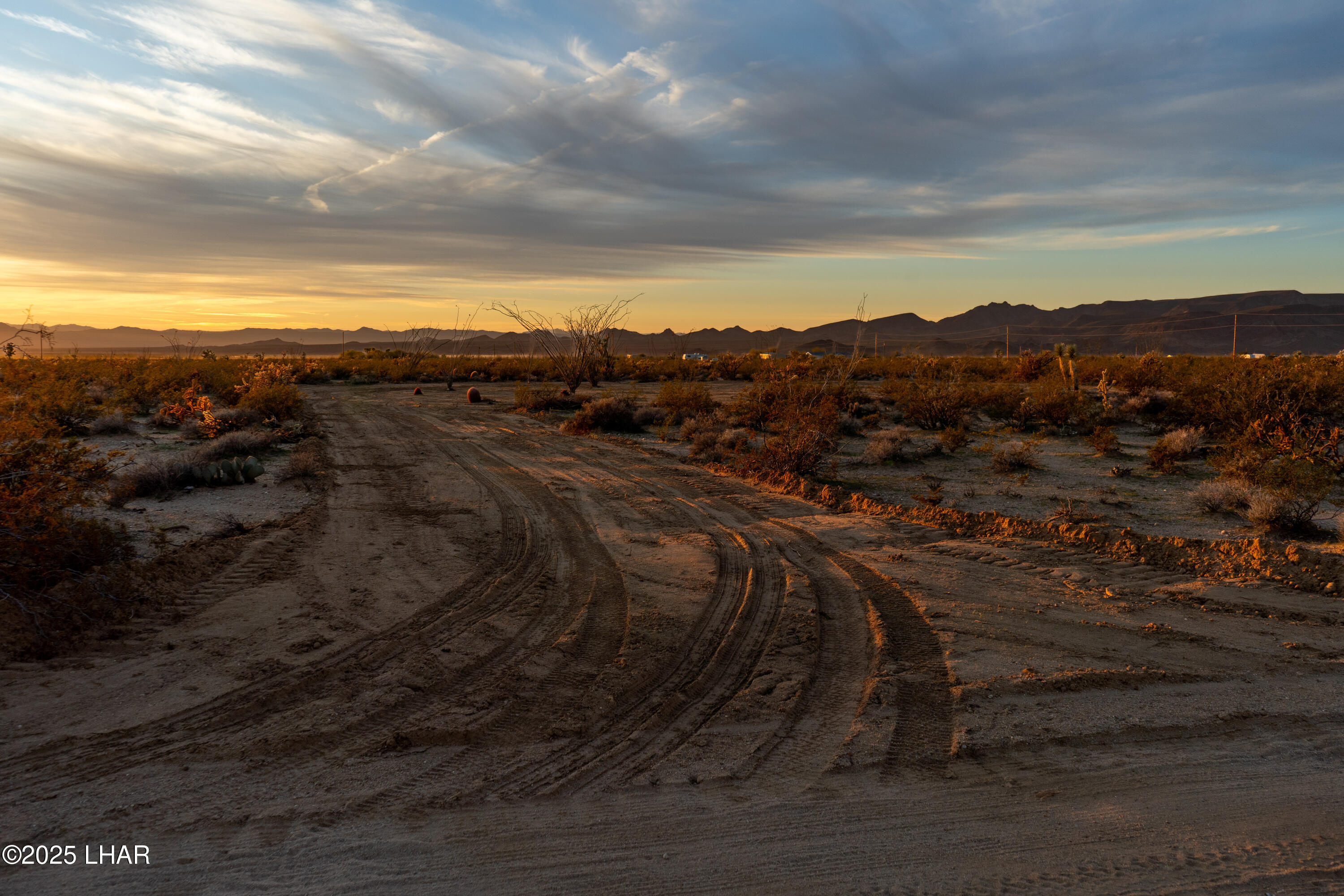 Lot 65 South Cameron Road Yucca, AZ 86438 - Photo 18 of 22